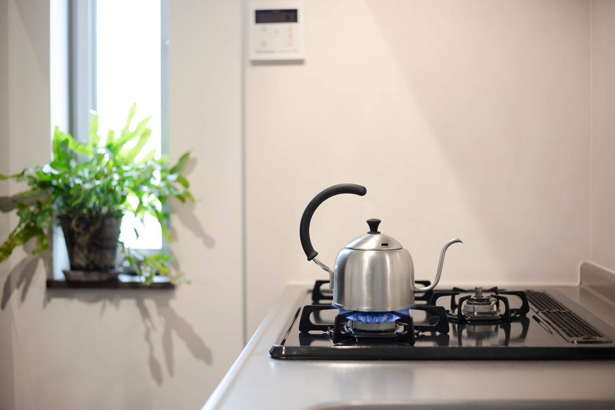 キッチンの範囲にコーヒーポット。