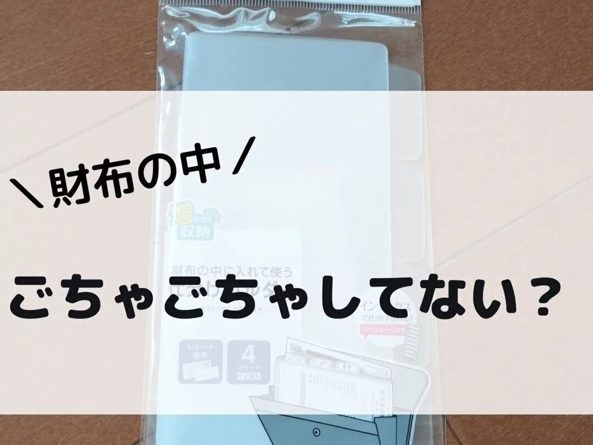 【ダイソー】財布のごちゃごちゃ解決!仕分けホルダー