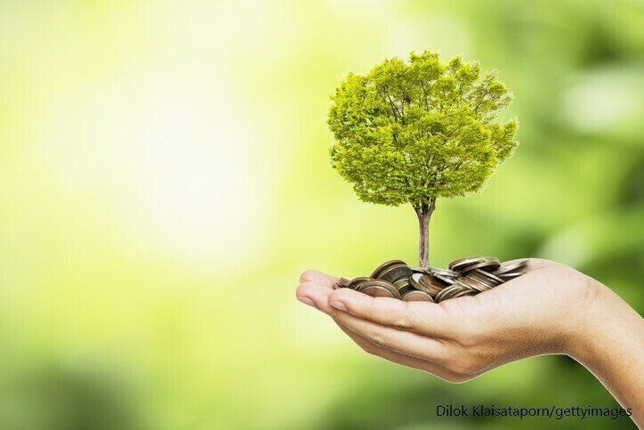 多肉植物　選び方