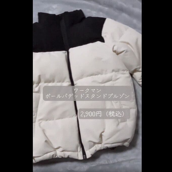 【ワークマン】2,900円で買える！極暖アウター