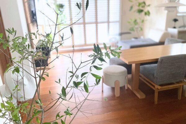 ゆったりとした時間が流れる整ったリビングダイニング