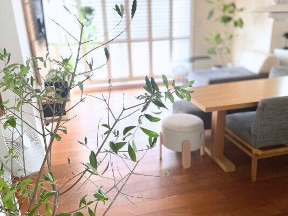 ゆったりとした時間が流れる整ったリビングダイニング