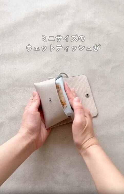 【ダイソー】ミニサイズのウェットティッシュがぴったり