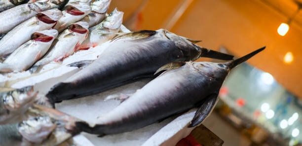 フィッシュマーケット, フォチャ, トルコ