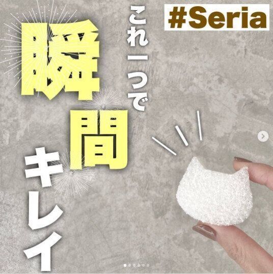 【セリア】気が付いた時にサッとお掃除！