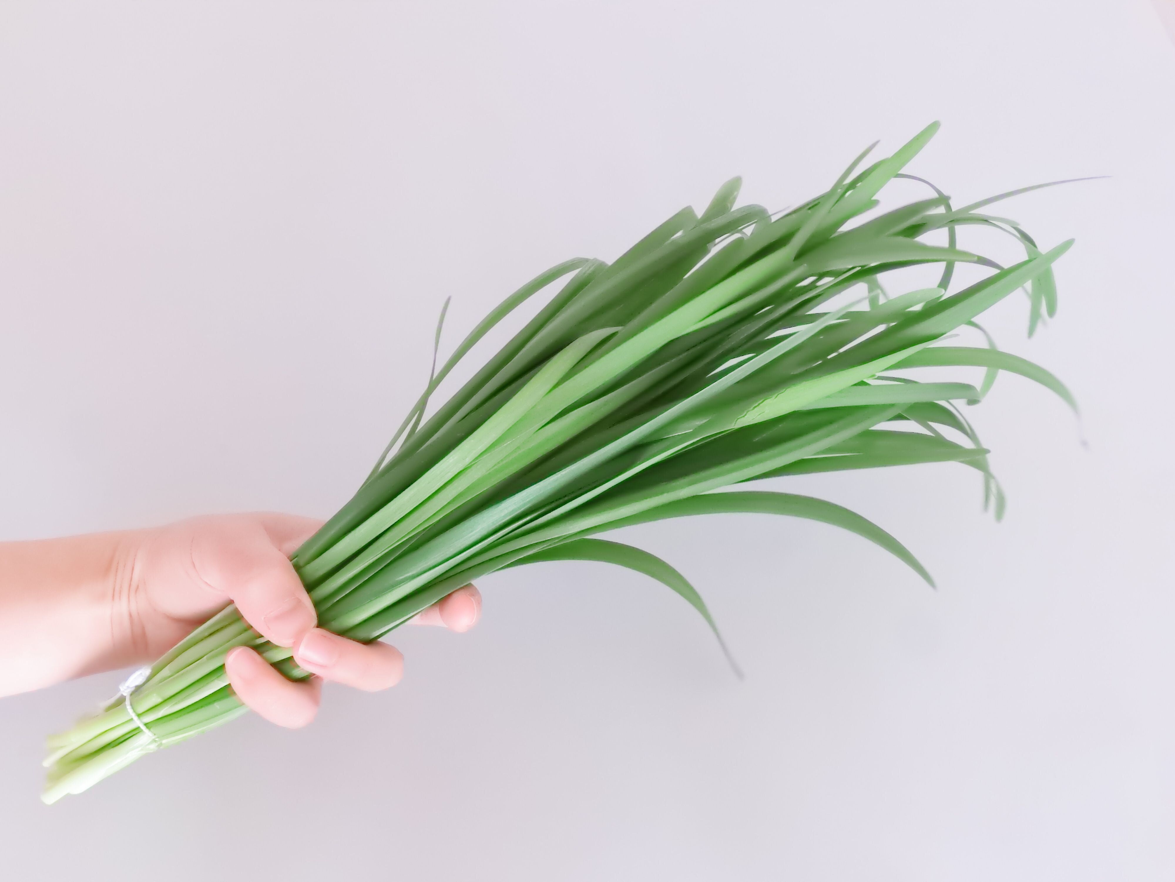 葉が肉厚でハリがある