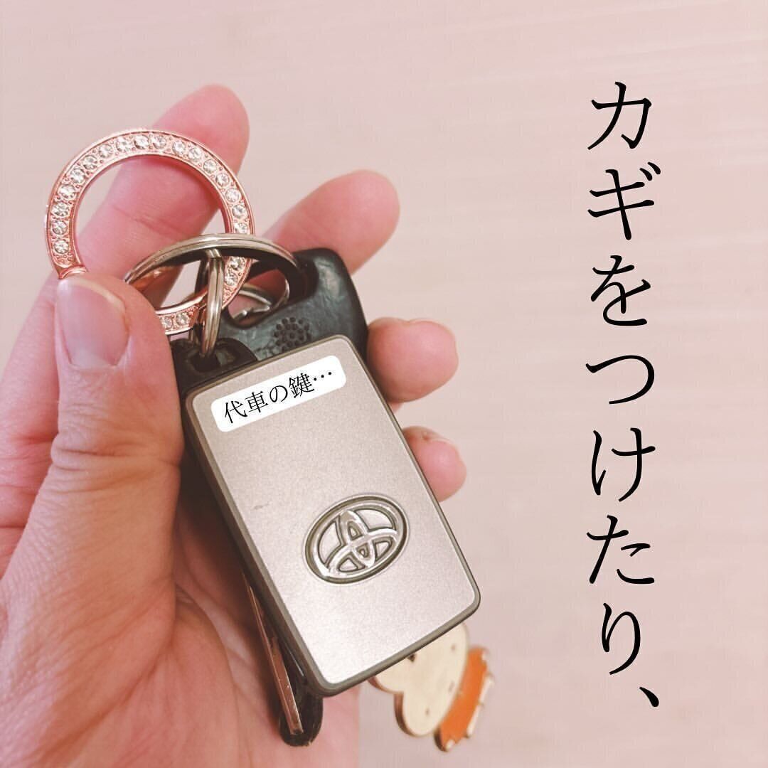 【セリア】めちゃおしゃれ！高見えカラビナ