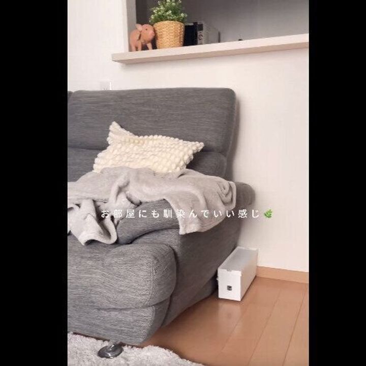 【ダイソー】生活感を消す!ファイルボックス