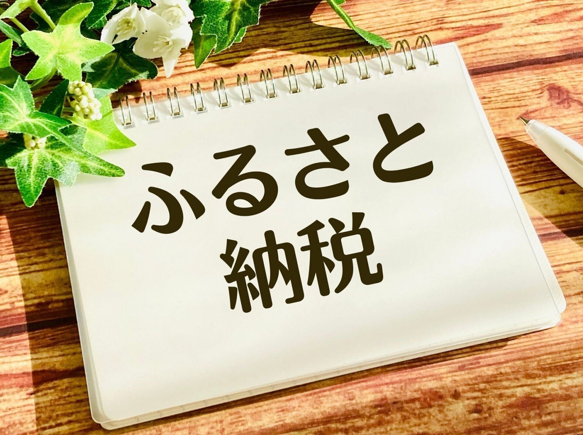今年初挑戦のふるさと納税で感動！返礼品のサーモンがレベル高すぎた