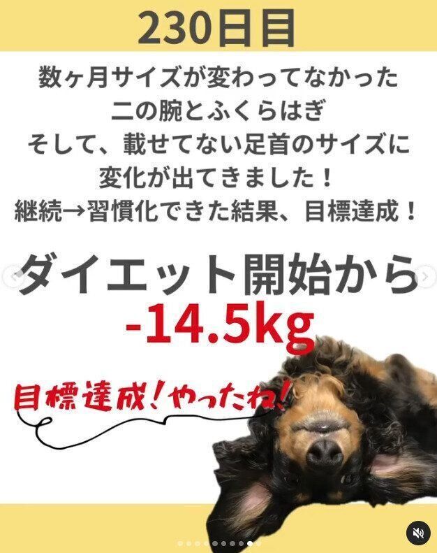 230日で目標達成！