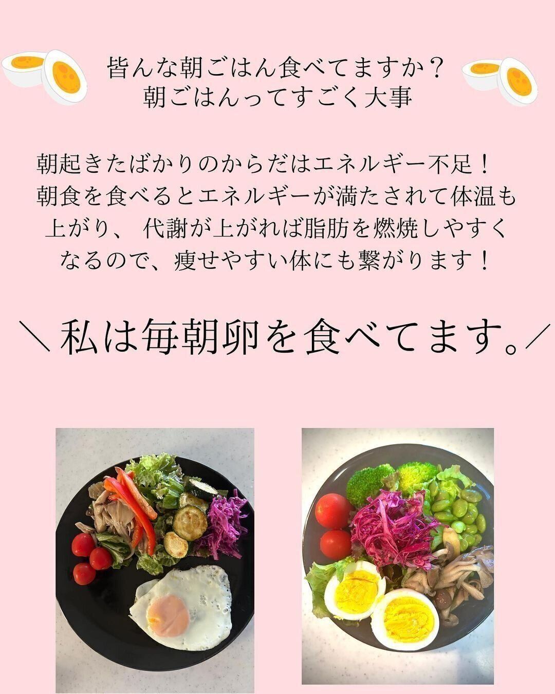毎日、卵を食べています