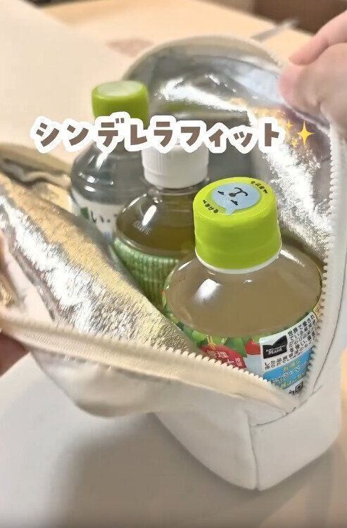 【3COINS】ゼリーやパックジュースの保冷にも便利