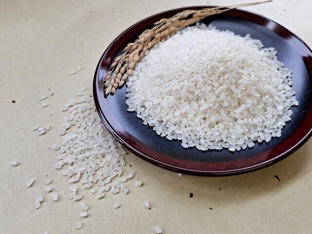 炊き込みご飯　薬膳