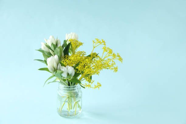 ジェンティアンとパトリニア