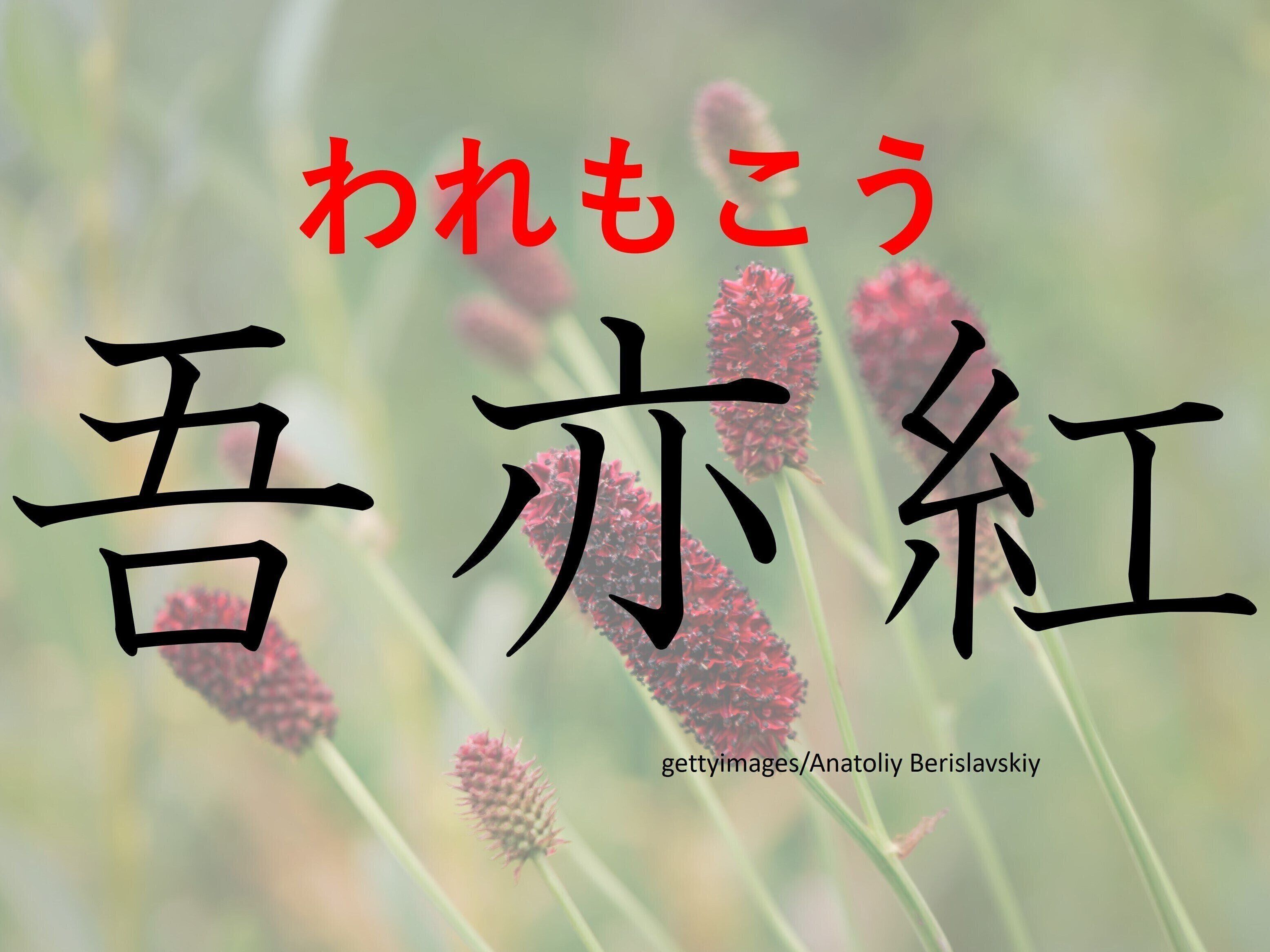 おしゃれな家では出現率高め！難読漢字クイズ「吾亦紅」はなんて読む？