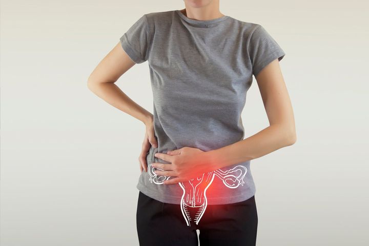 ヒト生殖系疾患の可視化