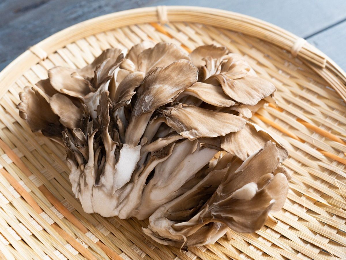食べなきゃ損!舞茸の栄養と効能~ダイエットに効果的な理由も解説します~