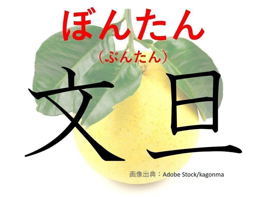 【難読漢字クイズ】なつかしいのにブームの兆し？「文旦」はなんて読む？