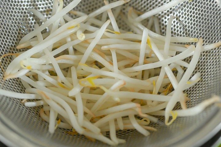 ザルに入ったもやし