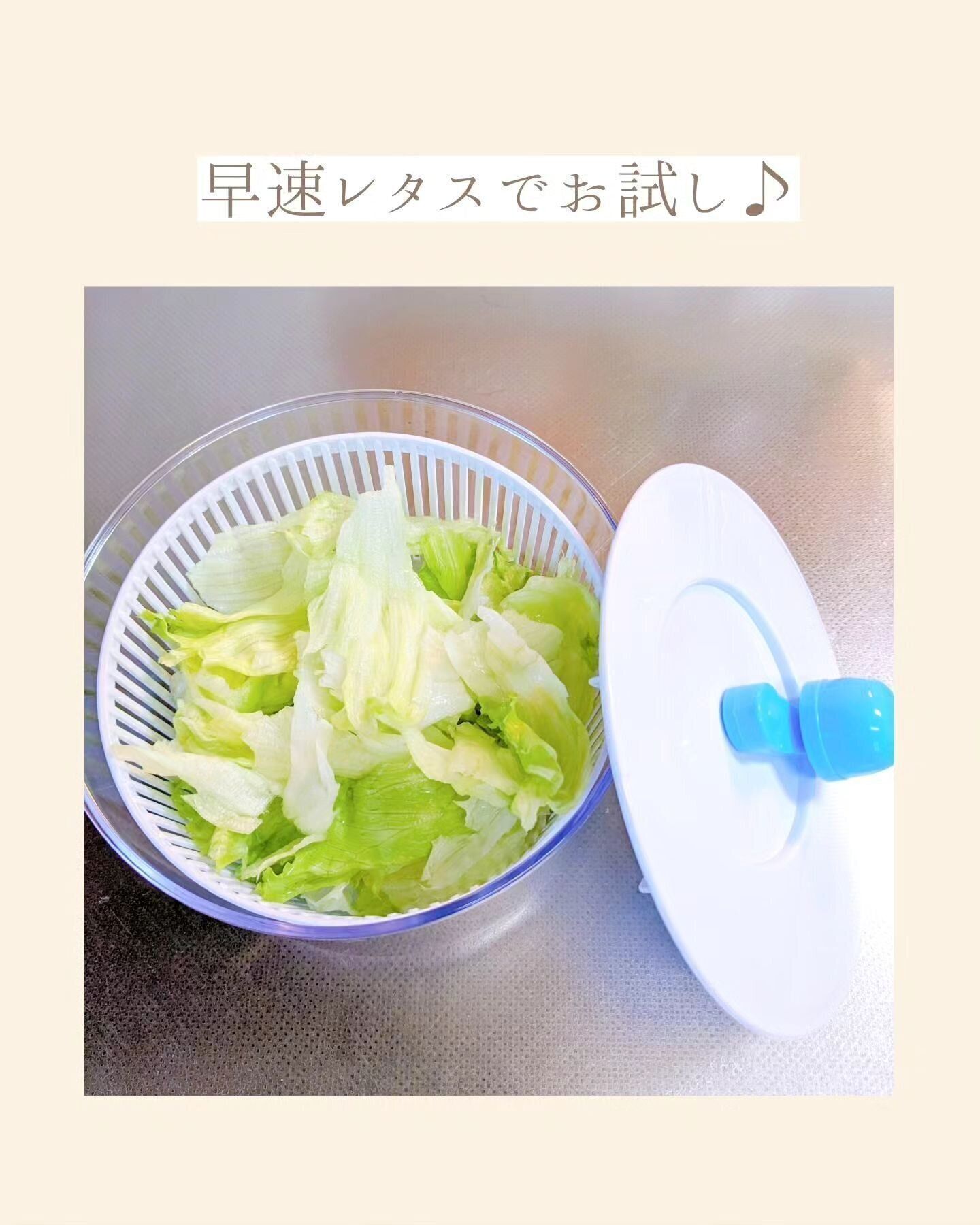 【ニトリ】簡単に自宅でシャキシャキサラダが食べられる！