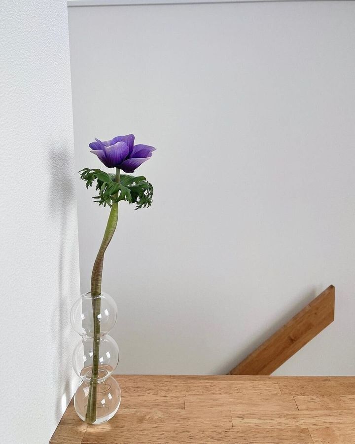 【ダイソー】即買い!大バズりフラワーベース