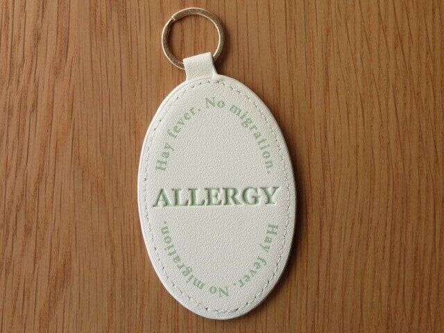 英語で説明が入っている