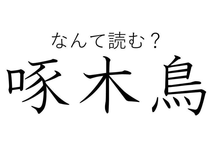やっぱり木に関係があった 難読漢字クイズ 啄木鳥 はなんて読む サンキュ やっぱり木に関係があった 難読漢字クイズ 啄木鳥 はなんて読む サンキュ