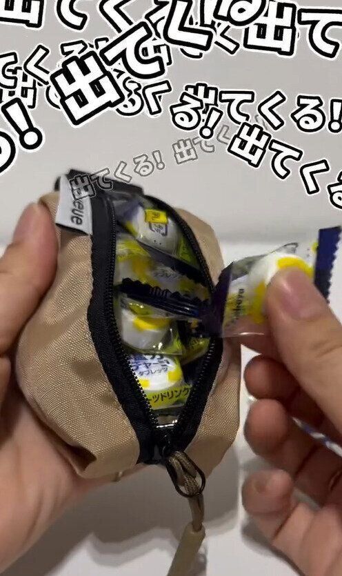 めちゃくちゃコンパクトサイズなのに！「スリムポーチ」