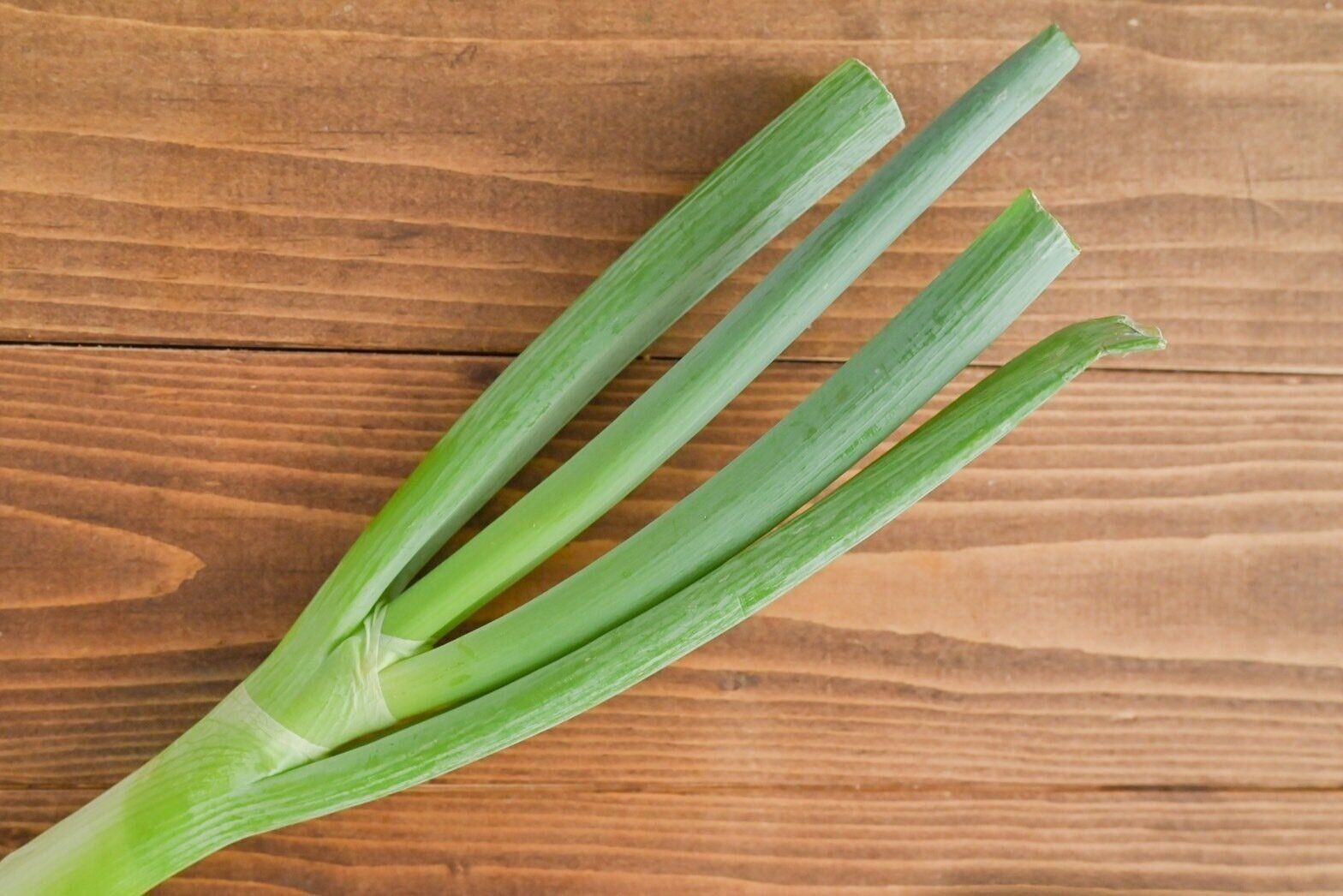 テーブルにのった長ねぎの青い部分