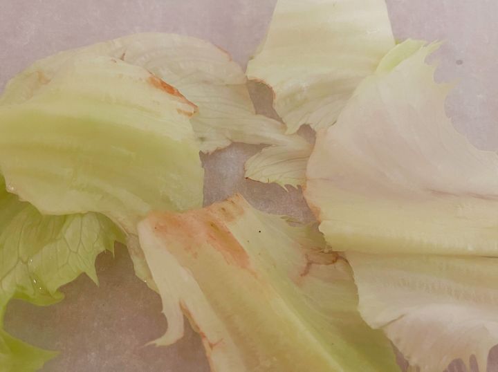 野菜ソムリエが解説 レタスの切り口はなぜ赤くなる 防ぐポイントは を使わないこと サンキュ 野菜ソムリエが解説 レタスの切り口はなぜ赤くなる 防ぐポイントは を使わないこと サンキュ