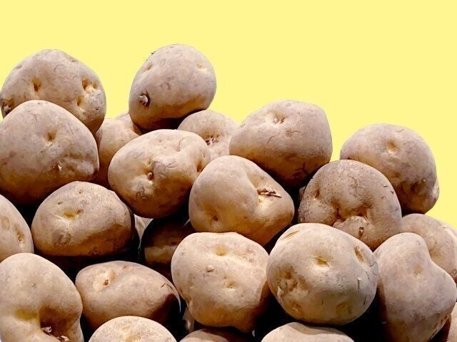 山積みのじゃがいも