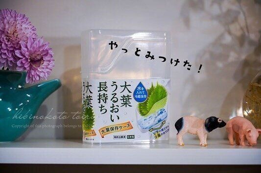 【セリア】ずっと探してた！SNSで話題の大バズリ商品