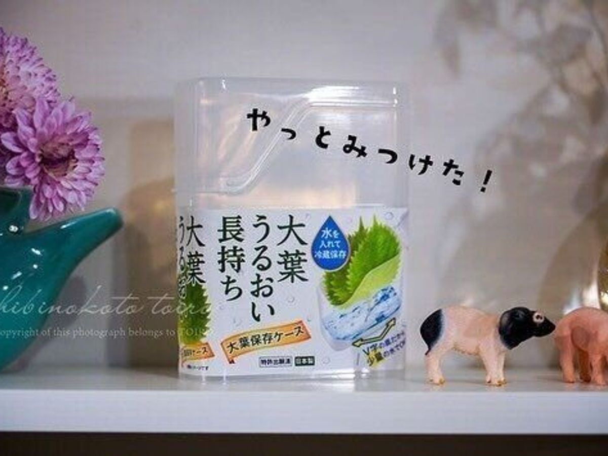 【セリア】ずっと探してた!SNSで話題の大バズリ商品