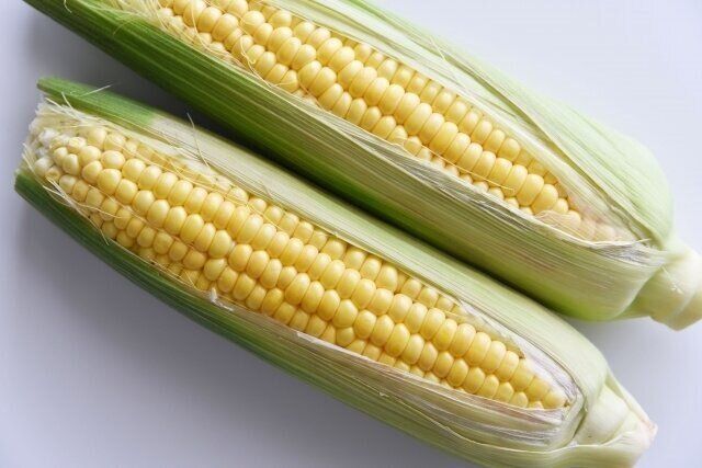 とうもろこし