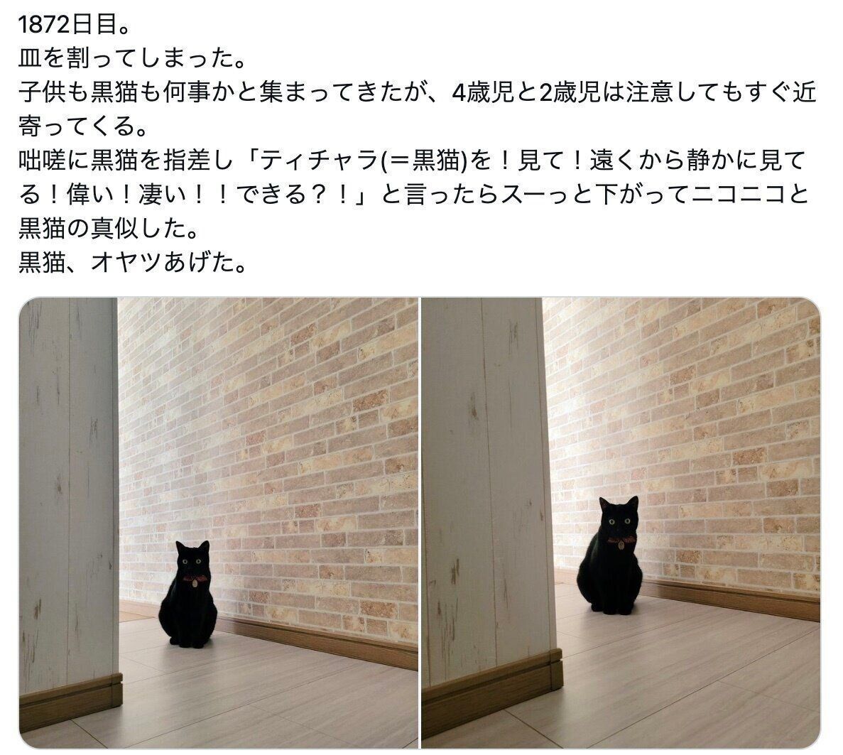 お皿が割れても冷静沈着。猫のスマートな対応が「子どもたちのお手本