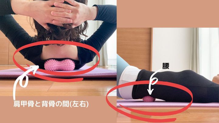 ダイソー ストレッチツインボール 凸凹タイプ 寝るだけ簡単に背中美人に サンキュ ダイソー ストレッチツインボール 凸凹タイプ 寝るだけ簡単に背中美人に サンキュ