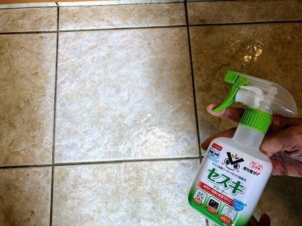 玄関がカンタンに新築並みにピカピカになる簡単掃除アイテムはこれだ サンキュ