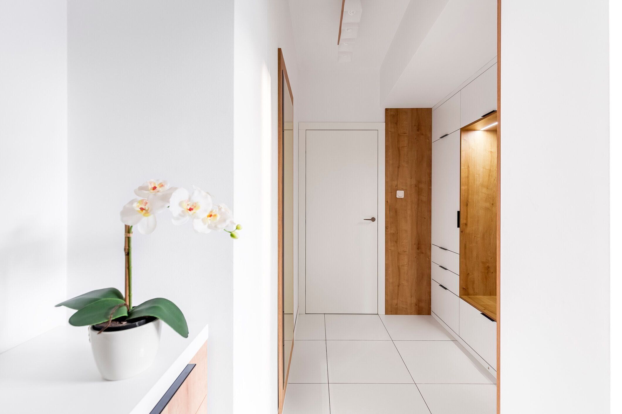 刺激的で居心地の良い玄関ホール