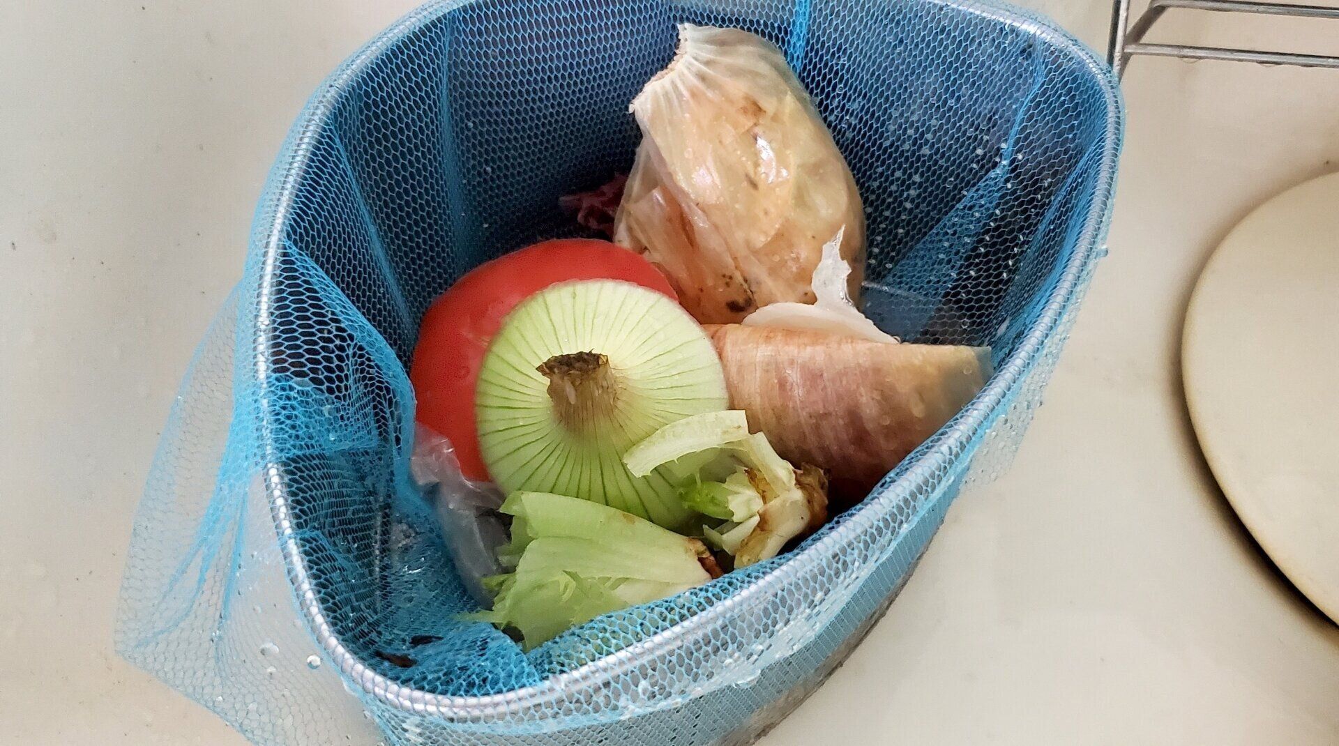 夏場の生ゴミの放置は危険！