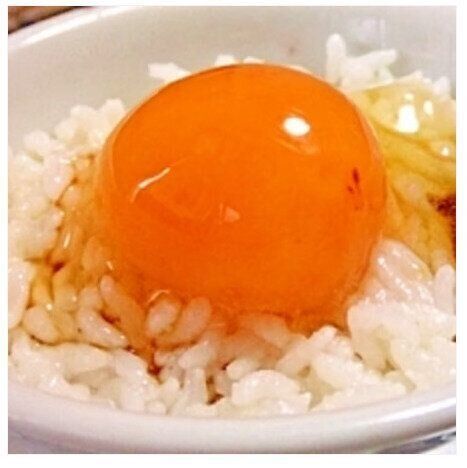 殻ごと冷凍！黄身がもちもち冷凍卵かけご飯