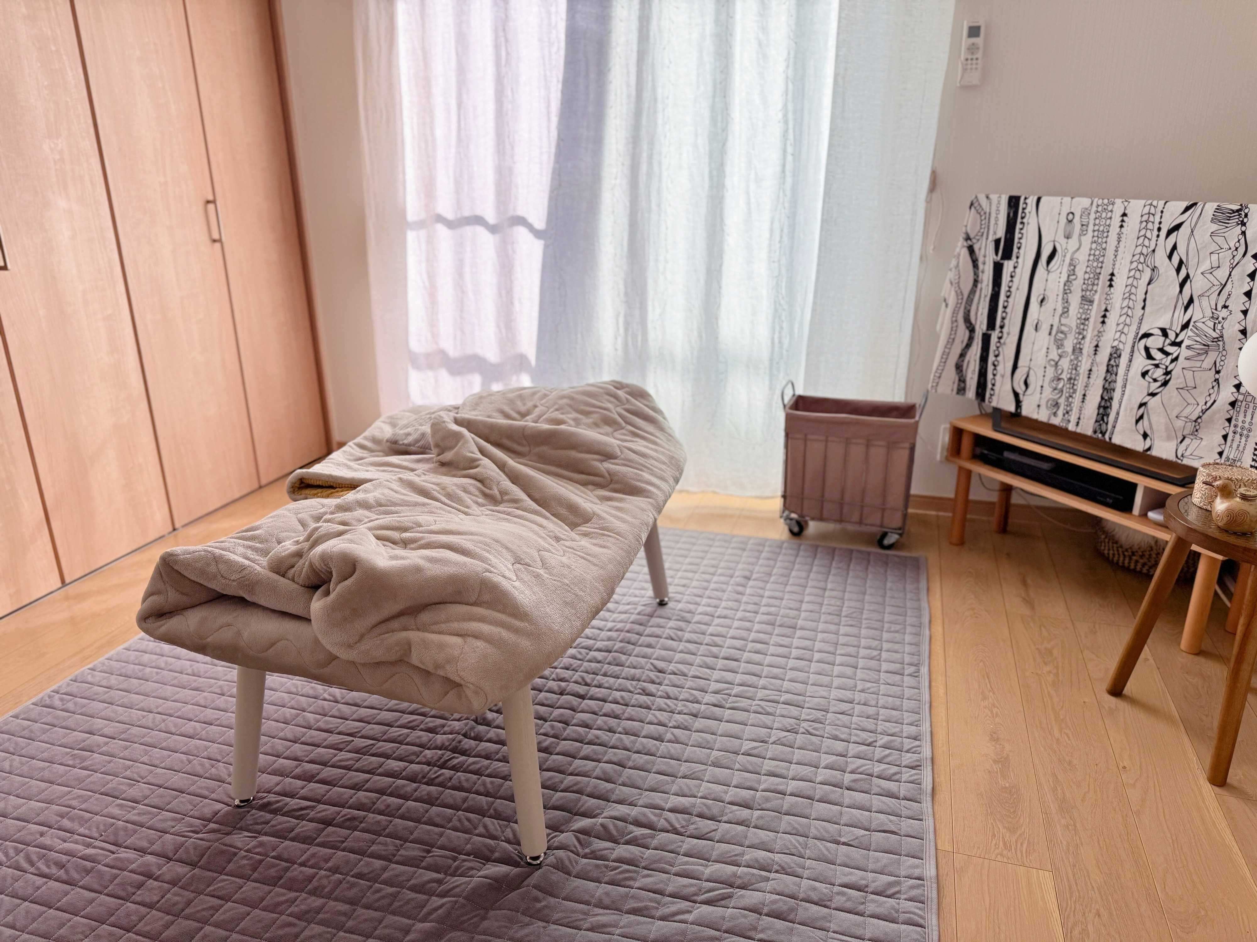 デメリットは「掃除と洗濯が大変なこと」