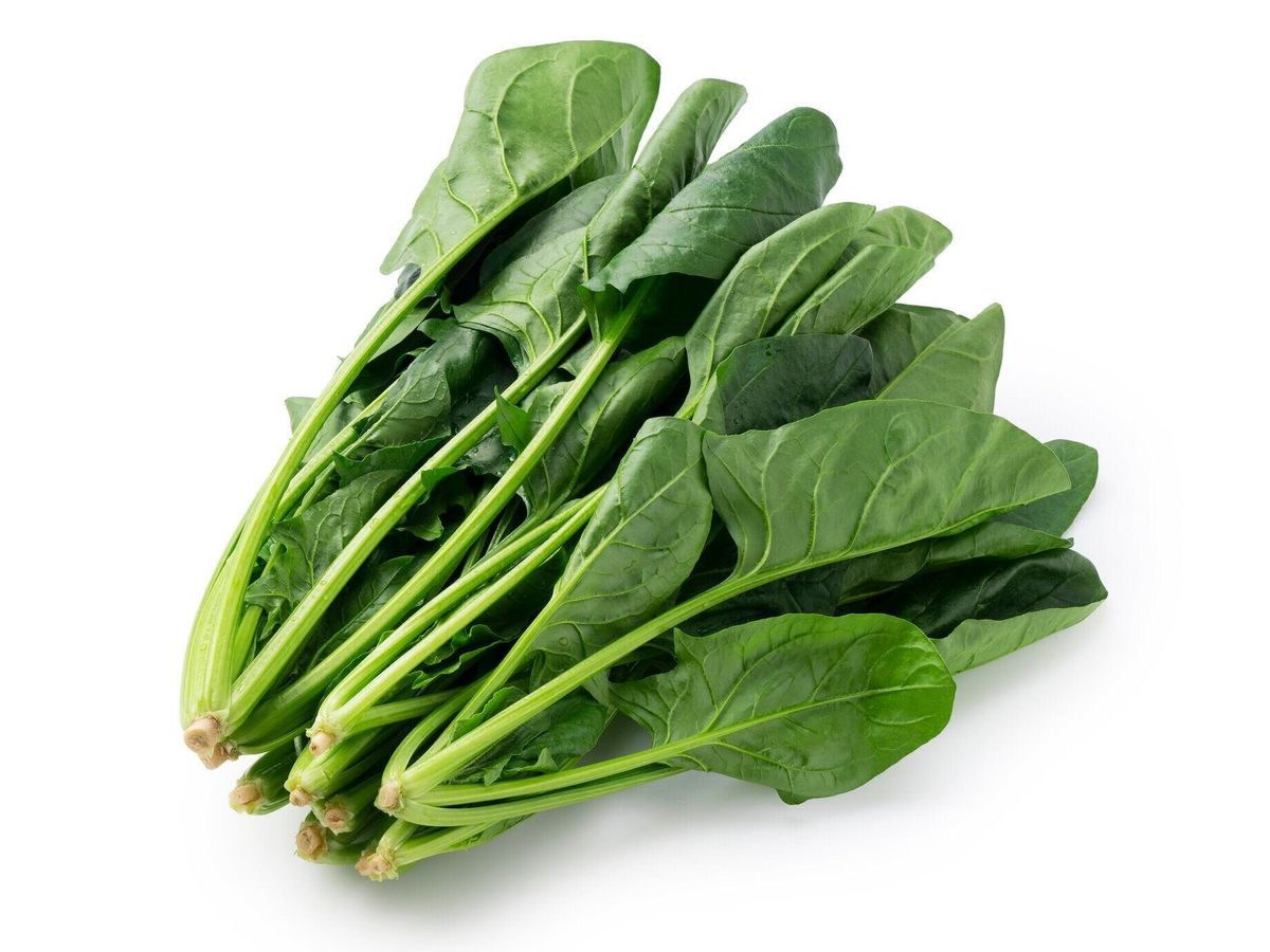白い背景に新鮮なほうれん草