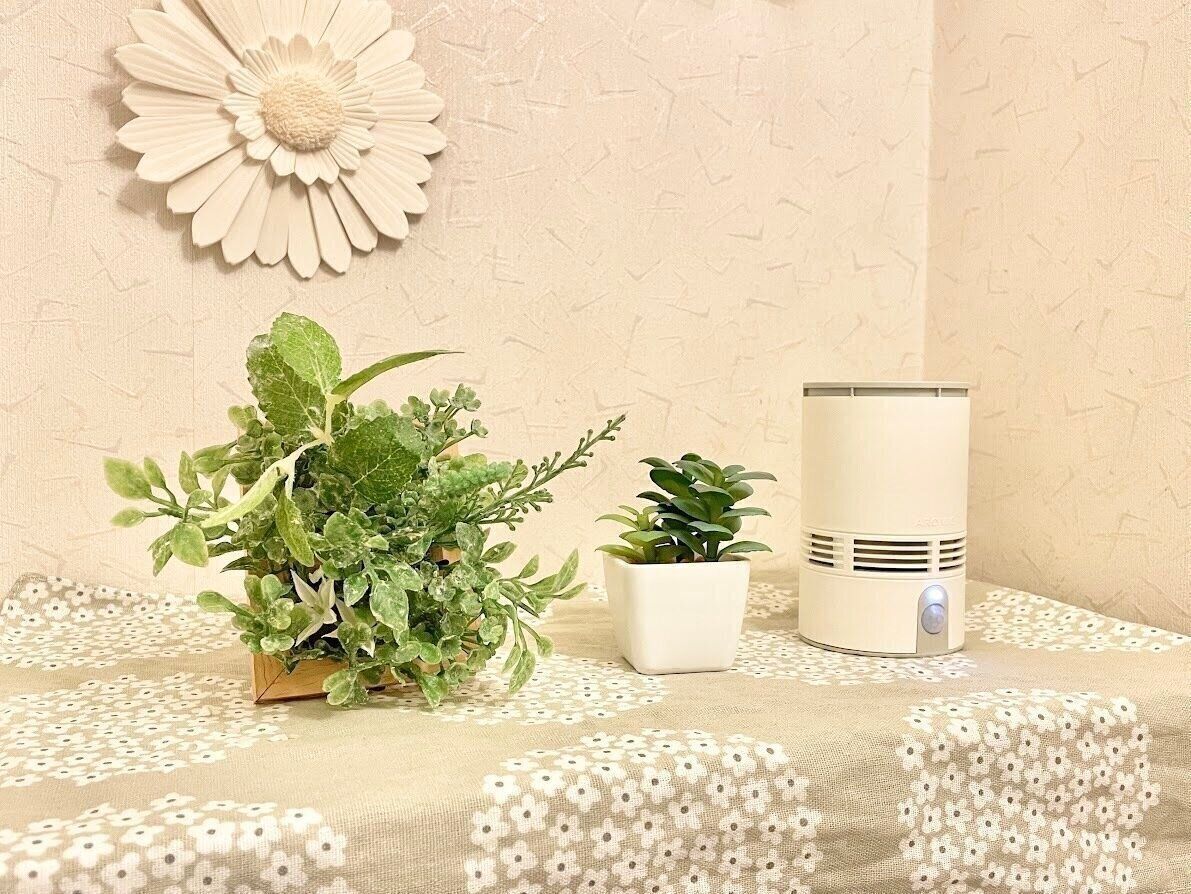 トイレの棚に飾られたフレーム入りグリーンマット