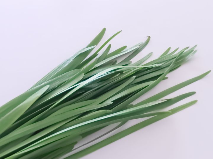 葉先までピンとしている