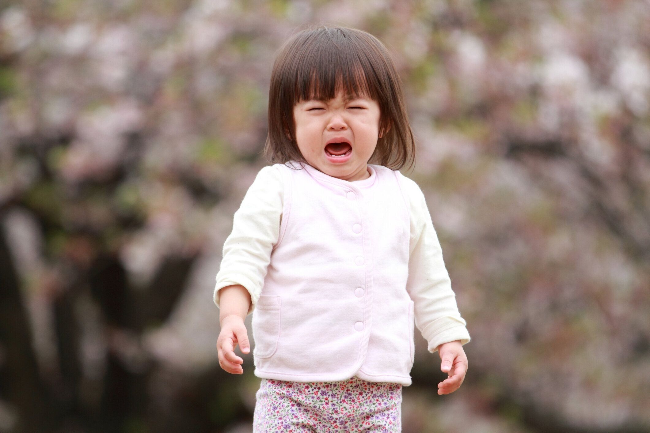 泣く日本の女の子(1歳)
