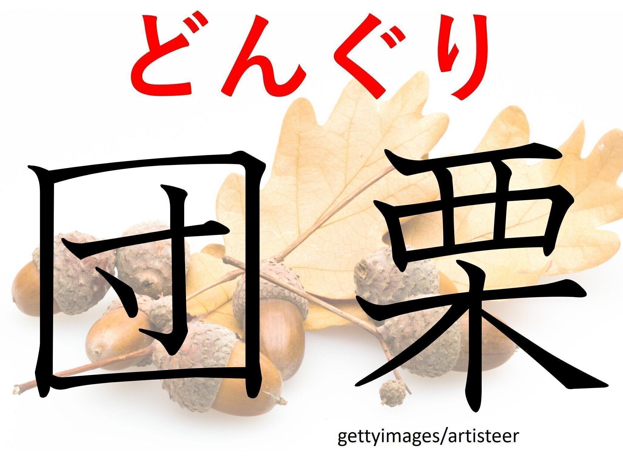 くらべてみると楽しいかも！難読漢字「団栗」はなんて読む？
