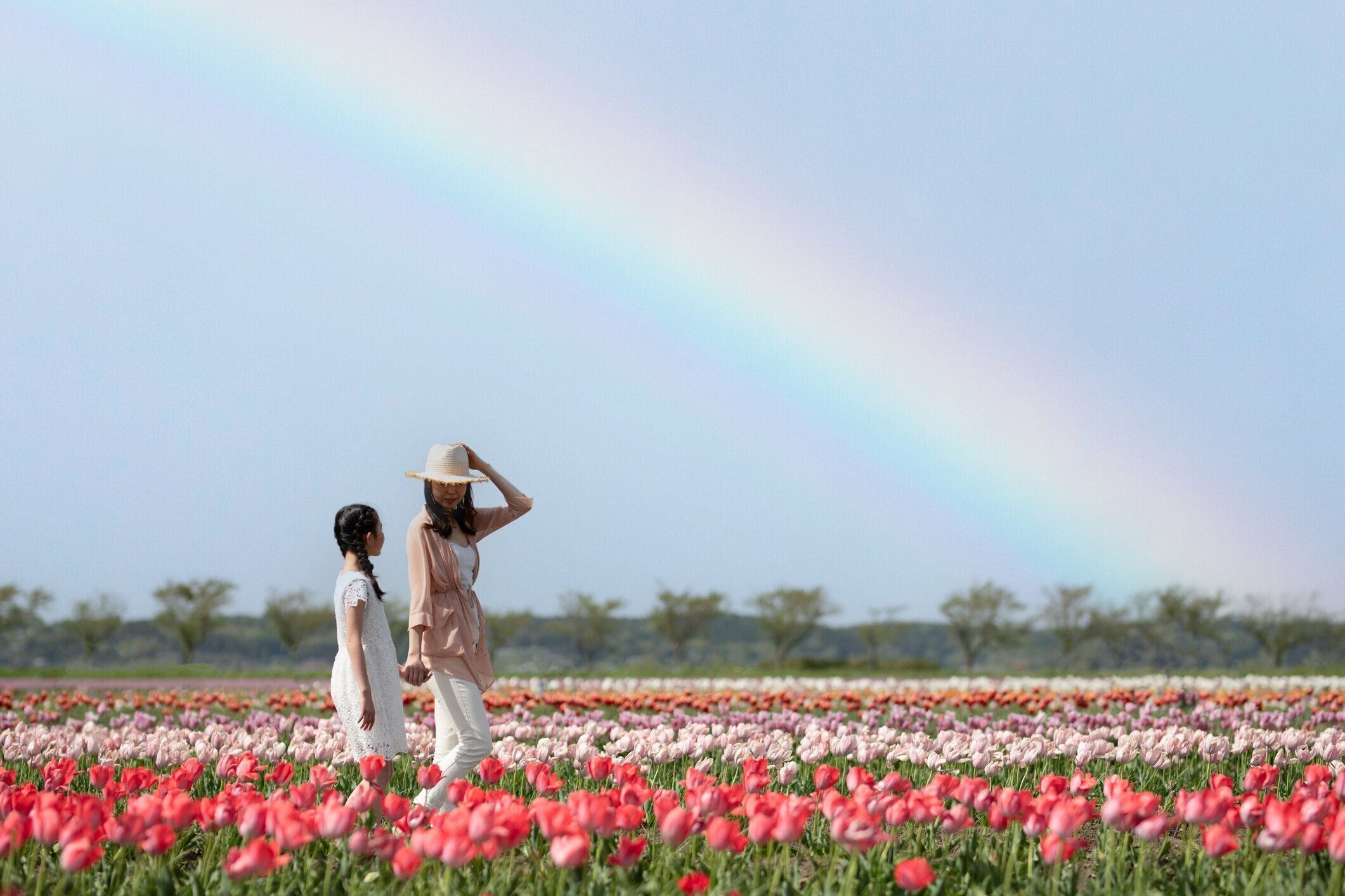 虹の花畑を歩く母と娘