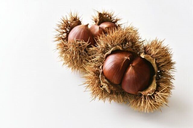 栗　薬膳