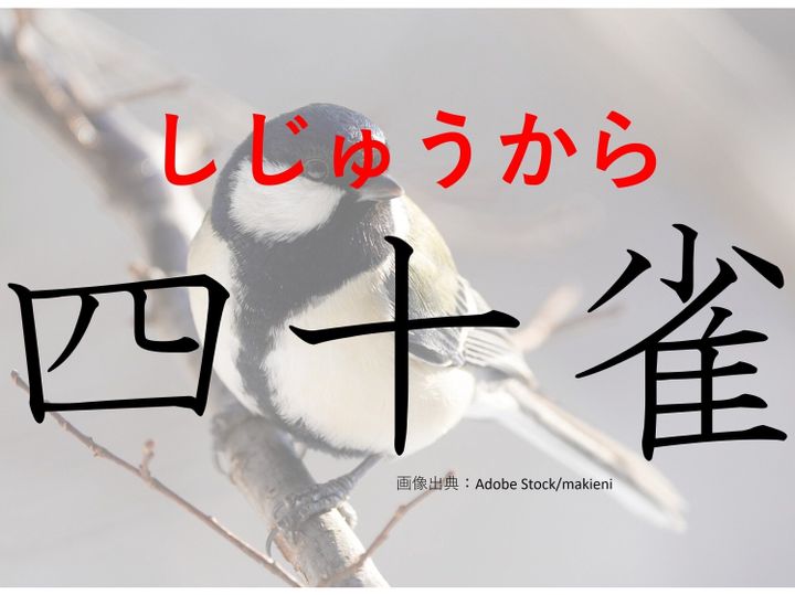 【難読漢字クイズ】かわいさも40倍?「四十雀」はなんて読む?