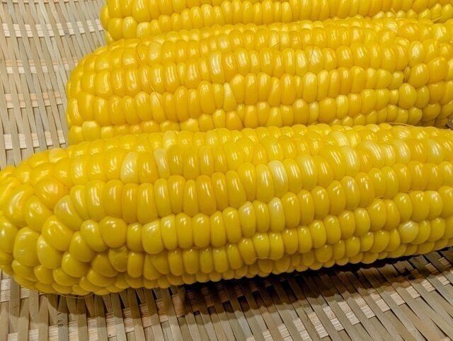とうもろこし